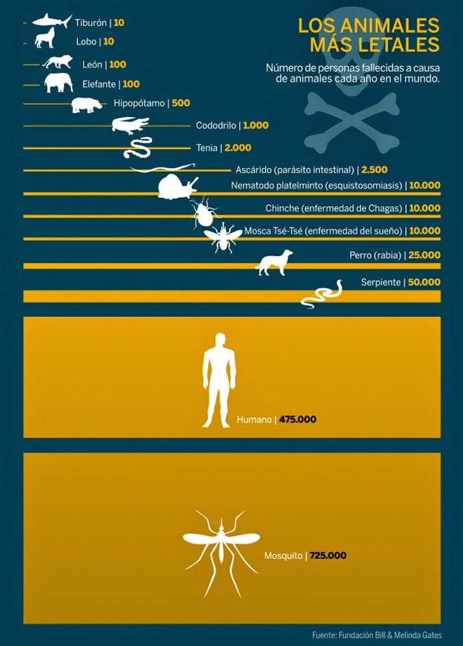 El mosquito el animal que más humanos mata